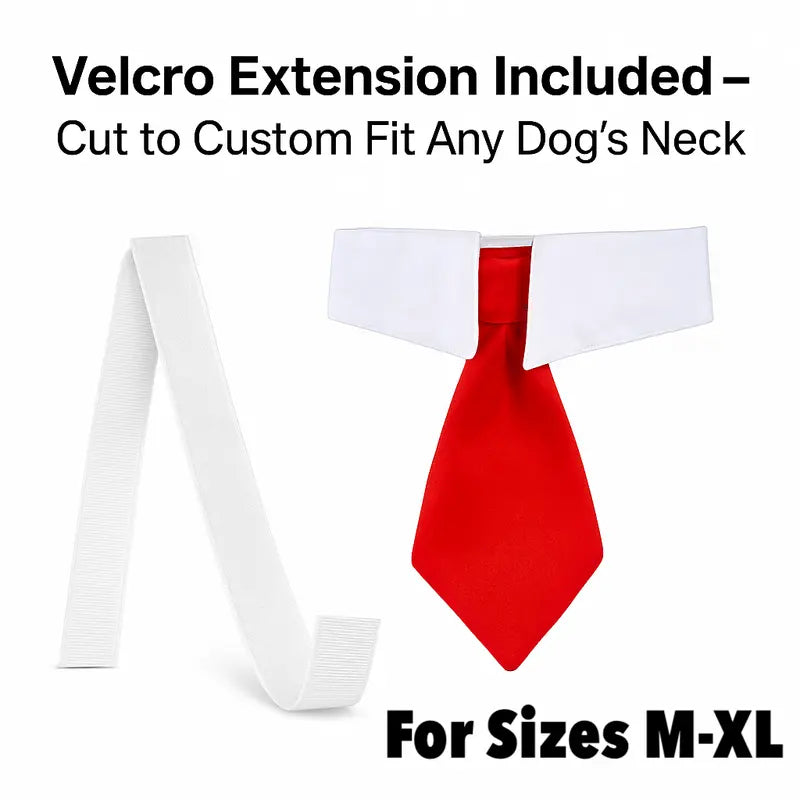 Trump Dog Costume Set